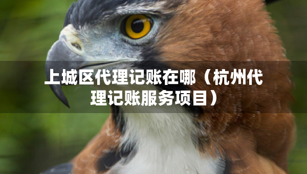 上城区代理记账在哪（杭州代理记账服务项目）