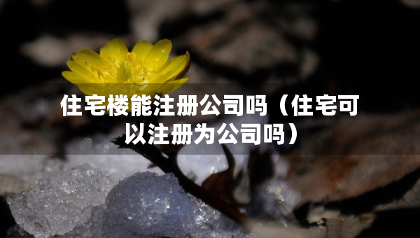 住宅楼能注册公司吗（住宅可以注册为公司吗）