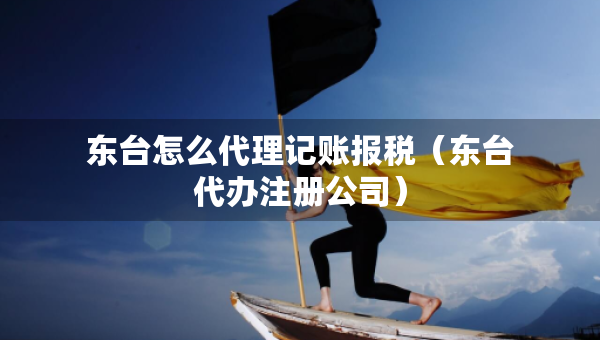 东台怎么代理记账报税（东台代办注册公司）