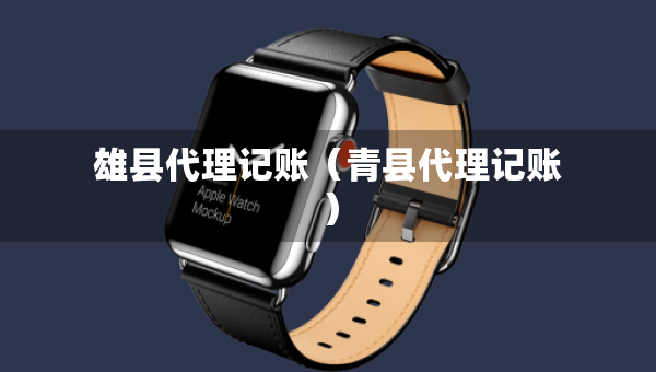 雄县代理记账（青县代理记账）