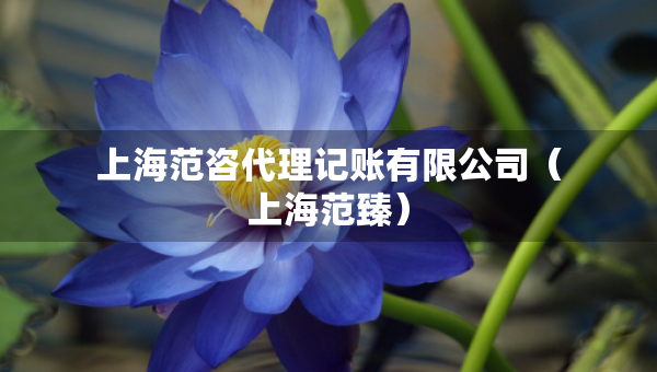 上海范咨代理记账有限公司（上海范臻）