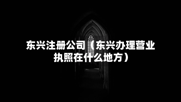 东兴注册公司（东兴办理营业执照在什么地方）