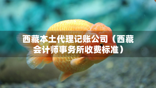 西藏本土代理记账公司（西藏会计师事务所收费标准）