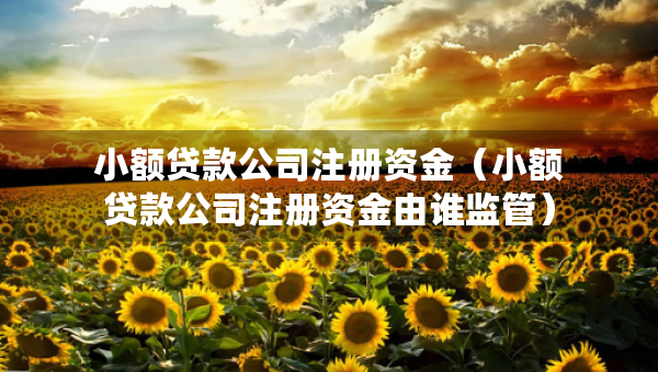 小额贷款公司注册资金（小额贷款公司注册资金由谁监管）