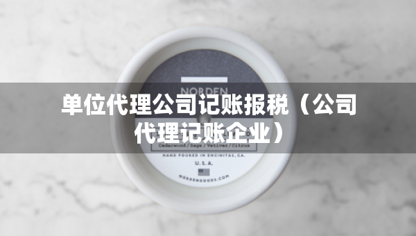 单位代理公司记账报税（公司代理记账企业）
