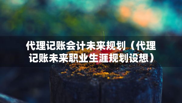 代理记账会计未来规划（代理记账未来职业生涯规划设想）