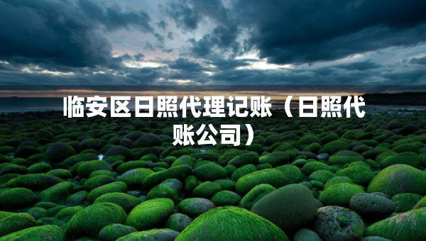 临安区日照代理记账（日照代账公司）
