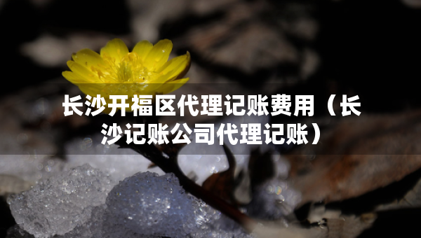 长沙开福区代理记账费用（长沙记账公司代理记账）