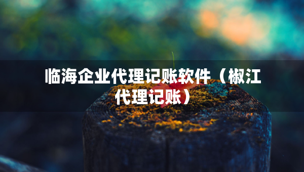 临海企业代理记账软件（椒江代理记账）