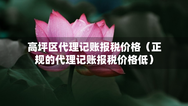 高坪区代理记账报税价格（正规的代理记账报税价格低）