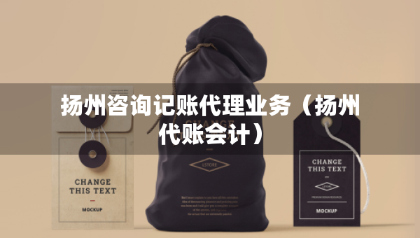 扬州咨询记账代理业务（扬州代账会计）