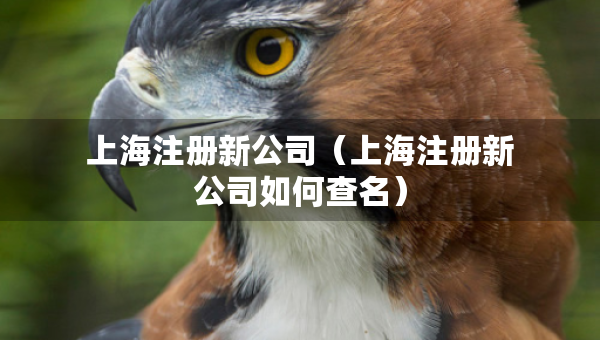 上海注册新公司（上海注册新公司如何查名）