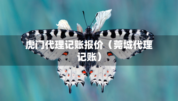 虎门代理记账报价（莞城代理记账）