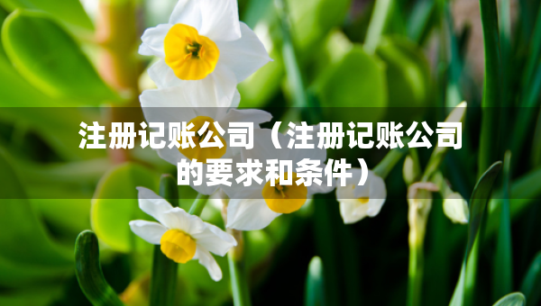 注册记账公司（注册记账公司的要求和条件）