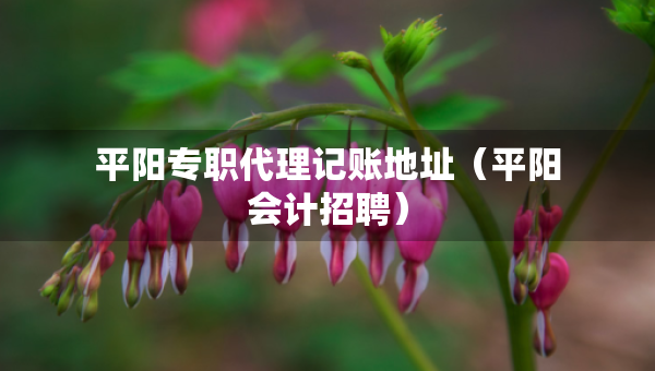 平阳专职代理记账地址（平阳会计招聘）
