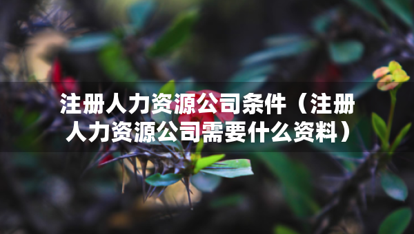 注册人力资源公司条件（注册人力资源公司需要什么资料）