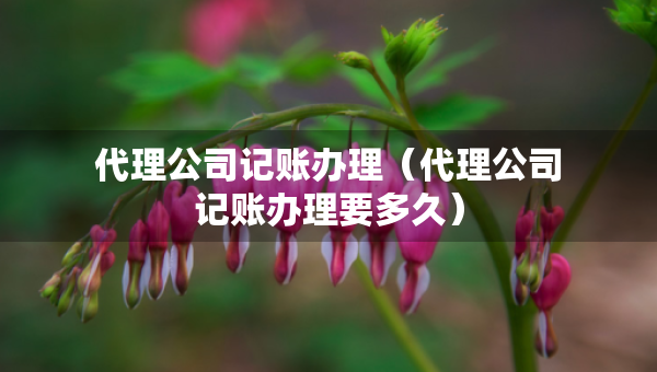代理公司记账办理（代理公司记账办理要多久）