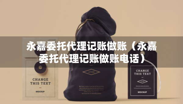 永嘉委托代理记账做账（永嘉委托代理记账做账电话）