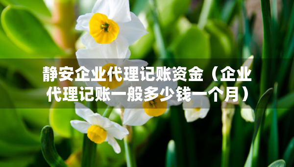 静安企业代理记账资金（企业代理记账一般多少钱一个月）