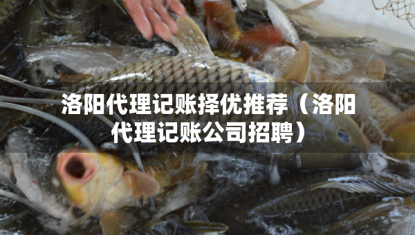 洛阳代理记账择优推荐（洛阳代理记账公司招聘）