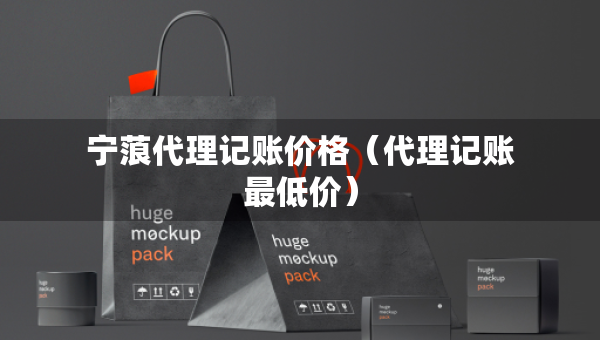 宁蒗代理记账价格（代理记账最低价）