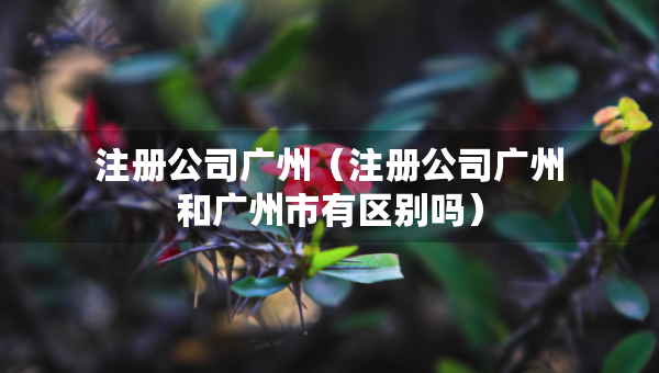 注册公司广州（注册公司广州和广州市有区别吗）