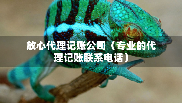放心代理记账公司（专业的代理记账联系电话）