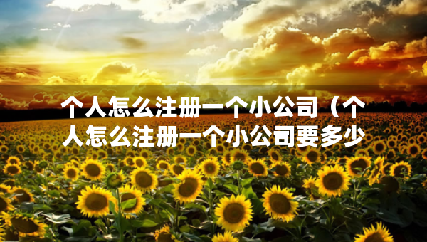个人怎么注册一个小公司（个人怎么注册一个小公司要多少钱）