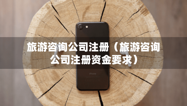 旅游咨询公司注册（旅游咨询公司注册资金要求）