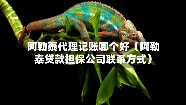 阿勒泰代理记账哪个好（阿勒泰贷款担保公司联系方式）