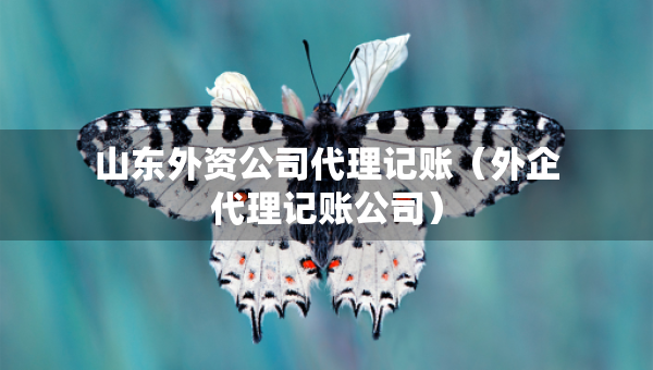 山东外资公司代理记账（外企代理记账公司）