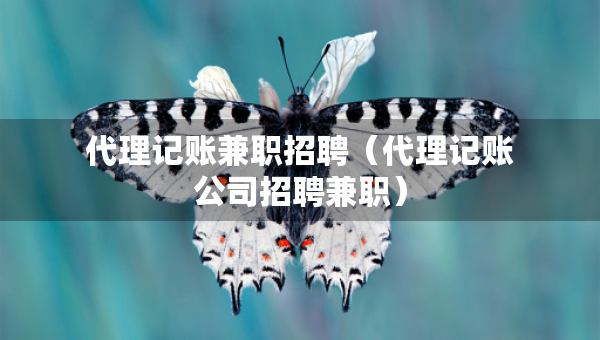 代理记账兼职招聘（代理记账公司招聘兼职）
