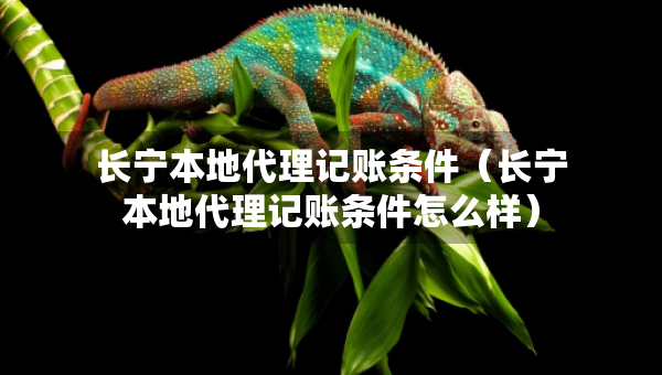 长宁本地代理记账条件（长宁本地代理记账条件怎么样）