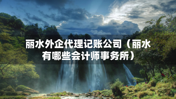 丽水外企代理记账公司（丽水有哪些会计师事务所）