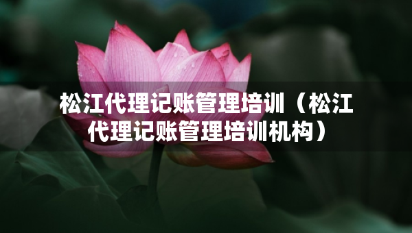 松江代理记账管理培训（松江代理记账管理培训机构）