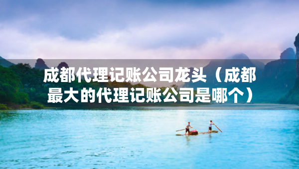 成都代理记账公司龙头（成都最大的代理记账公司是哪个）