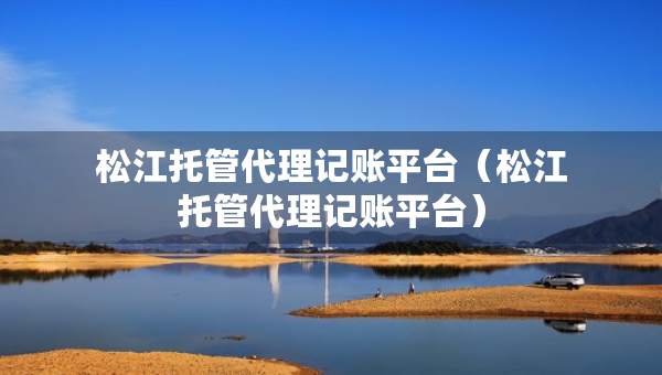 松江托管代理记账平台（松江托管代理记账平台）