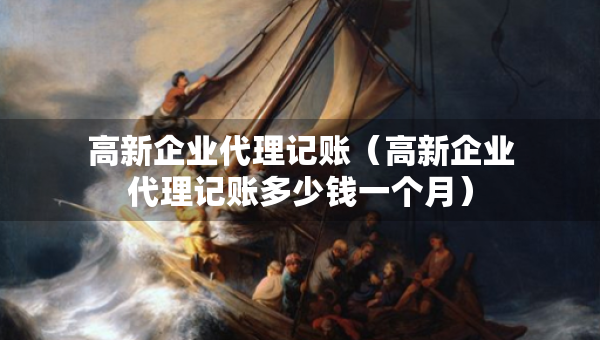 高新企业代理记账（高新企业代理记账多少钱一个月）