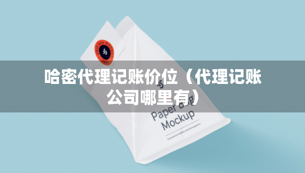 哈密代理记账价位（代理记账公司哪里有）
