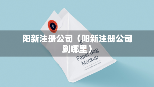 阳新注册公司（阳新注册公司到哪里）