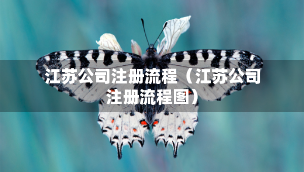 江苏公司注册流程（江苏公司注册流程图）