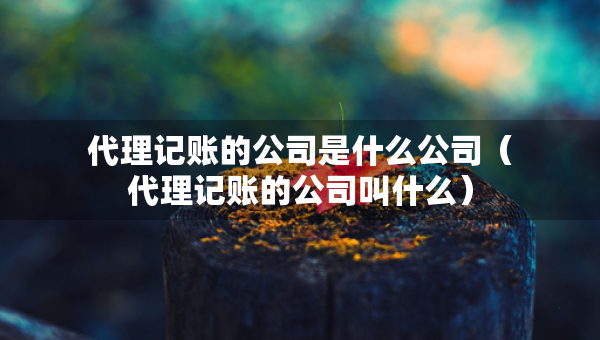代理记账的公司是什么公司（代理记账的公司叫什么）