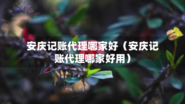 安庆记账代理哪家好（安庆记账代理哪家好用）