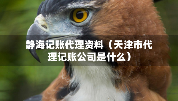 静海记账代理资料（天津市代理记账公司是什么）