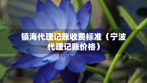 镇海代理记账收费标准(宁波代理记账价格) 镇海代理记账收费标准(宁波代理记账价格)