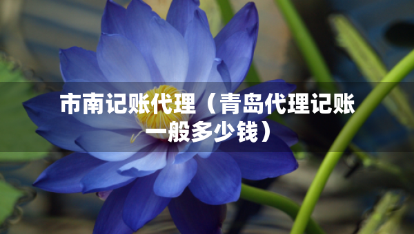 市南记账代理(青岛代理记账一般多少钱) 市南记账代理(青岛代理记账一般多少钱)