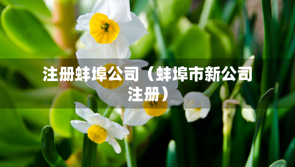 注册蚌埠公司（蚌埠市新公司注册）