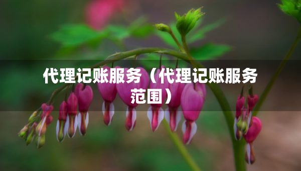 代理记账服务（代理记账服务范围）