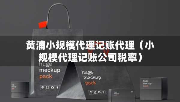 黄浦小规模代理记账代理（小规模代理记账公司税率）