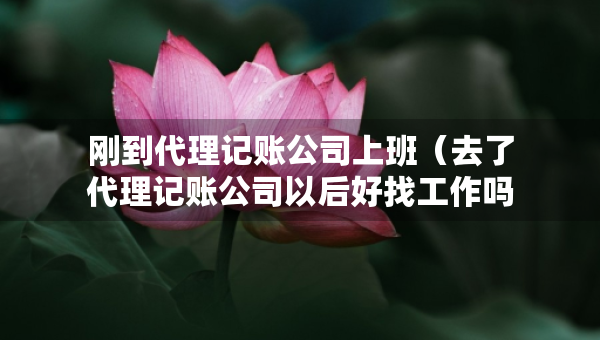 刚到代理记账公司上班（去了代理记账公司以后好找工作吗）